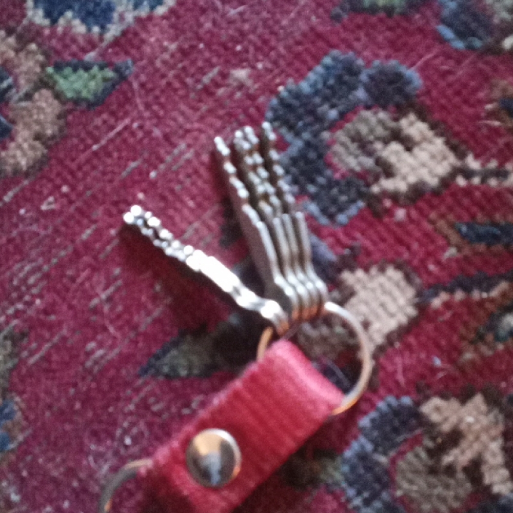 Red Key Holder with Silver Keys